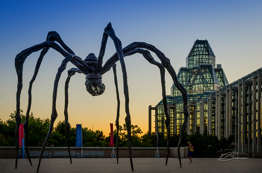 Maman, The Spider