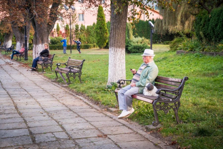 Sighisoara, The Parks and People